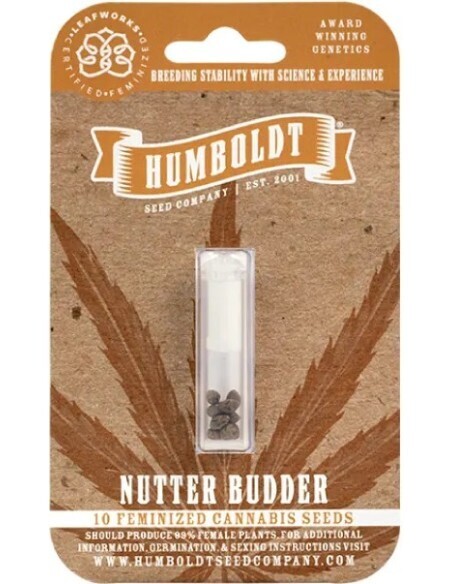 HSC Nutter Budder (F) 10 Pack