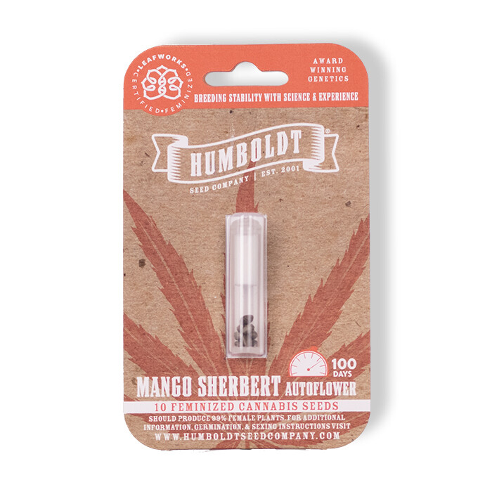 HSC Mango Sherbert Auto (F) 10 Pack