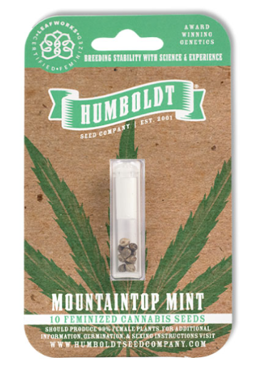 HSC Mountain Top Mint (F) 10 Pack