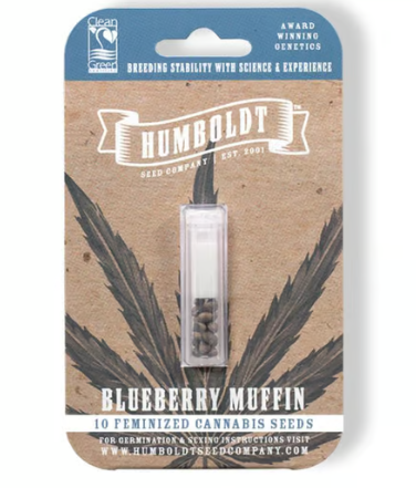 HSC Blueberry Muffin (F) 5 Pack