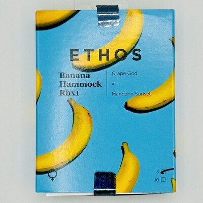 Ethos Banana Hammock Rbx (F) 5 Pack