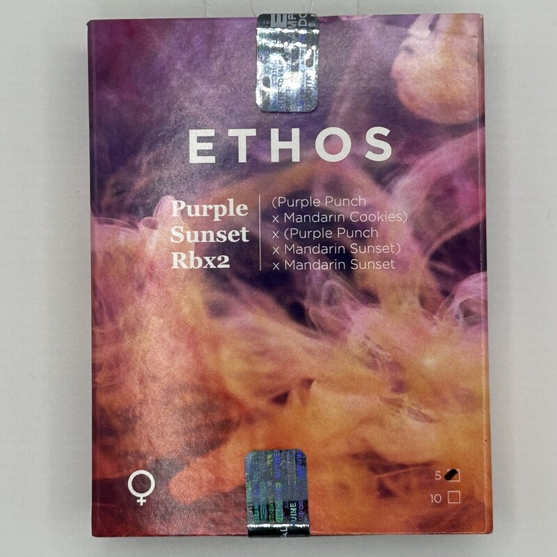 Ethos Purple Sunset RBx2 (F) 5 Pack