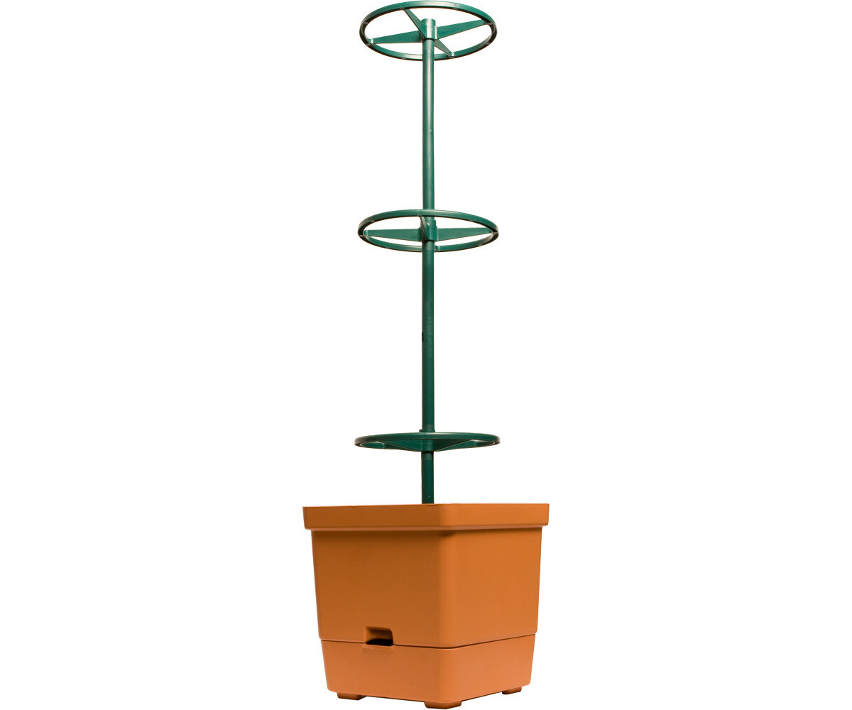 Tomato Tree w/ 3&#39; Tower