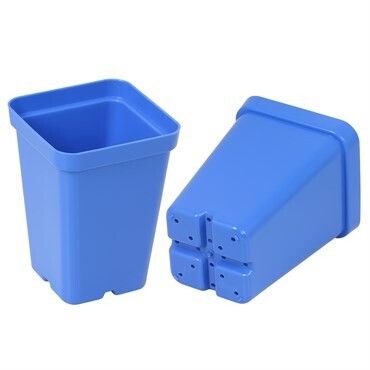 Sunpack Square Pot Blue 2.5in