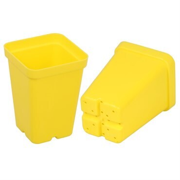 Sunpack Square Pot Yellow 2.5in