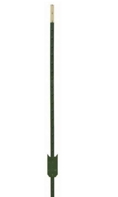 T post 10 foot stake