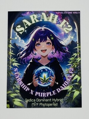 Sarah F2 Starship x Purple