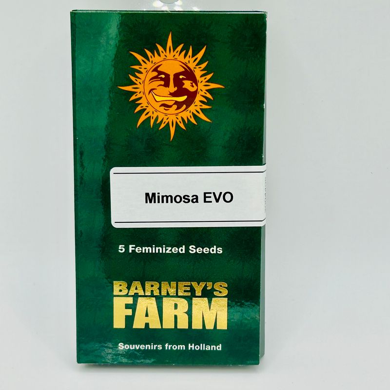 Barney&#39;s Farm Mimosa Evo (F) 5 Pack