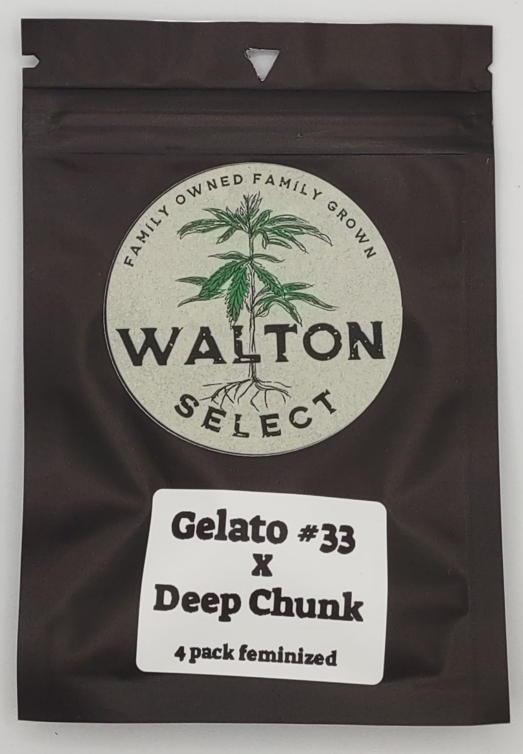 Walton Select Gelato #33 x Deep Chunk (F,HY) 4 pack