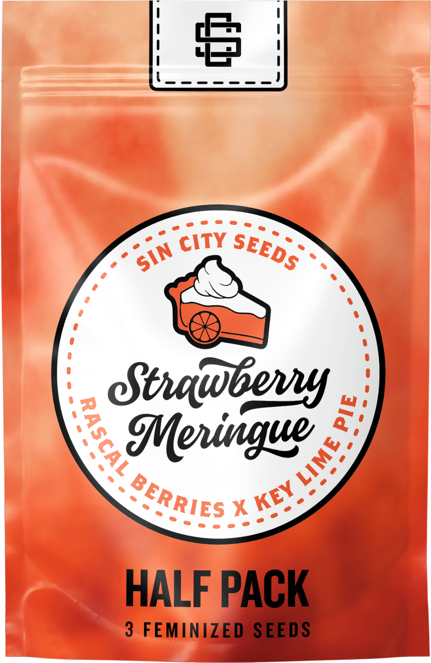 Sin City Seeds Strawberry Meringue (F,HY) 3 Packs