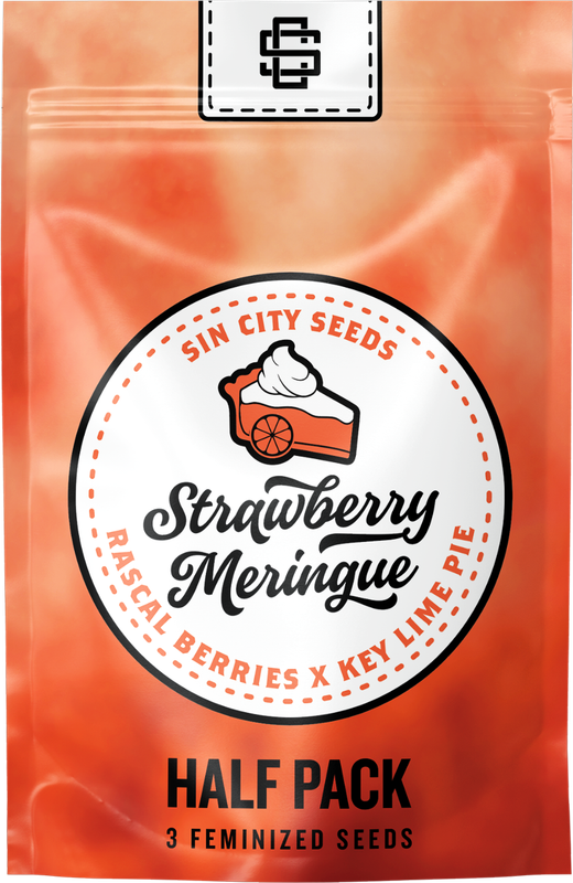 Sin City Seeds Strawberry Meringue (F,HY) 3 Packs