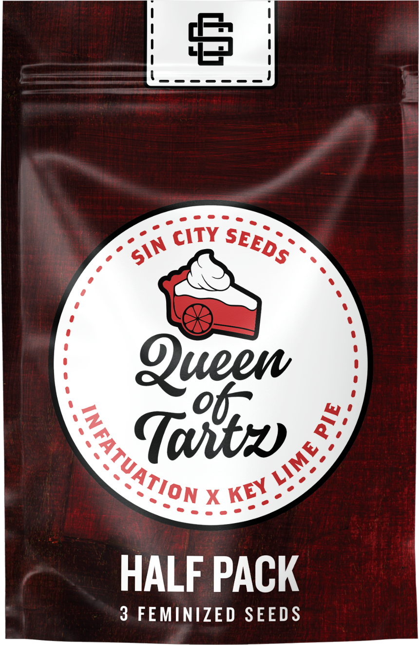 Sin City Seeds Queen of Tarts (F,ID) 3 Pack