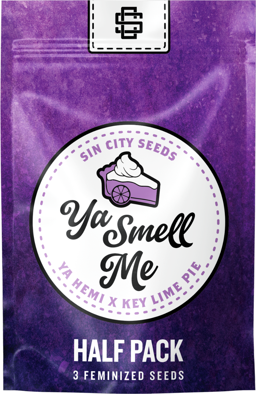 Sin City Seeds Ya Smell Me (F,SD) 3 Pack