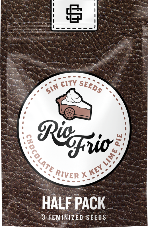 Sin City Seeds Rio Frio (F,ID) 3 Pack