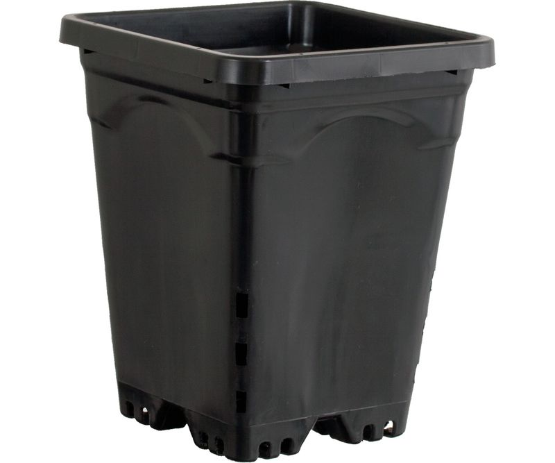 Active Aqua 7&quot; x 7&quot; Square Black Pot