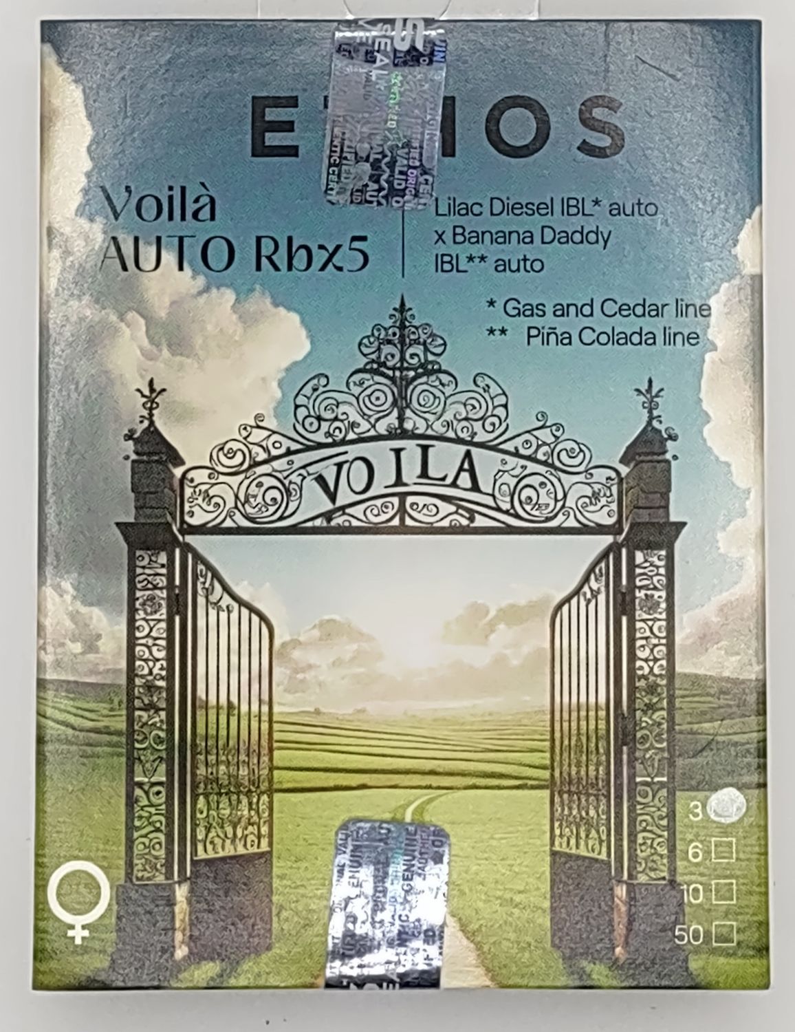 Ethos Voila Auto Rbx5 (F,HY) 3 Pack