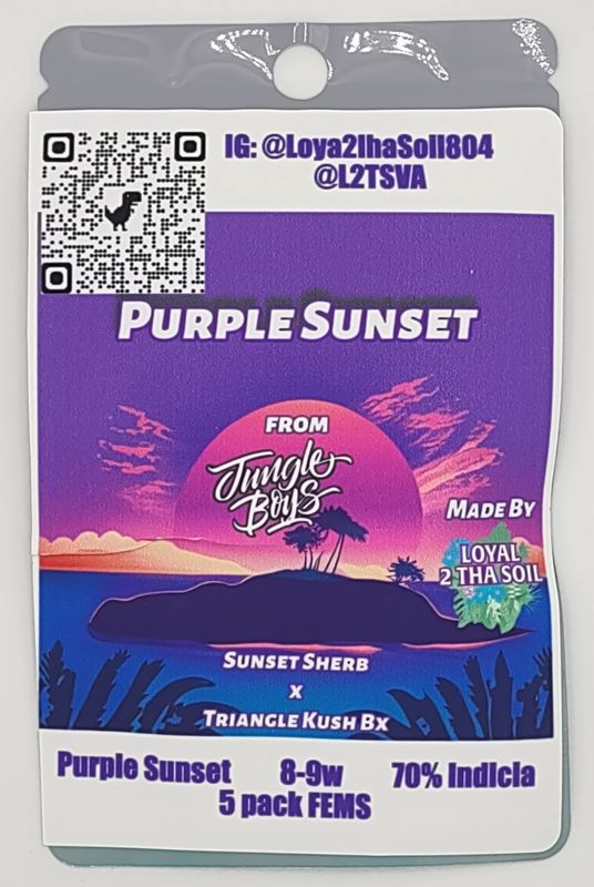 Loyal2ThaSoil Purple Sunset (Fem) 5pk