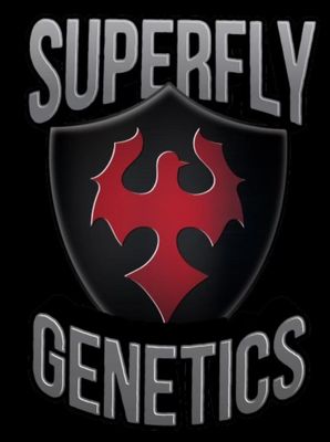 Superfly Genetics