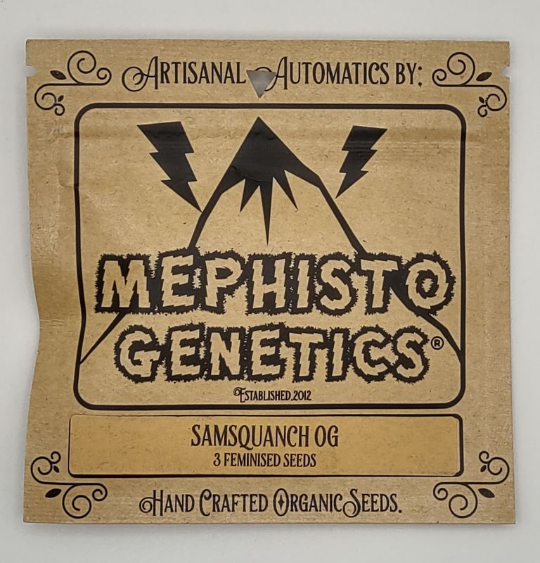 Mephisto Samsquanch OG  Autoflower (FEM,ID) 3pk