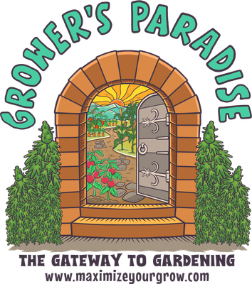Classes, Events, &amp; In-Store Services