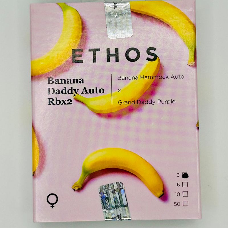 Ethos Banana Daddy AUTO Rbx2 (F) 3 Pack