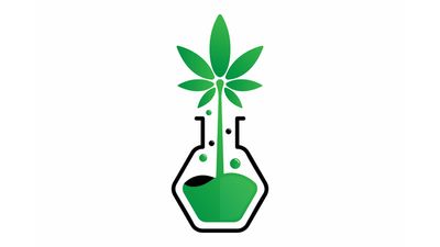 Plant Testing
