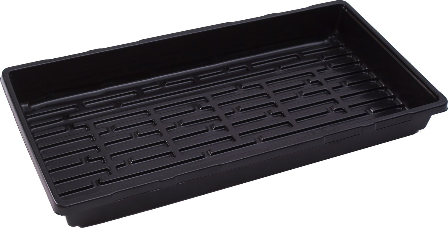 10x20 Tray Single