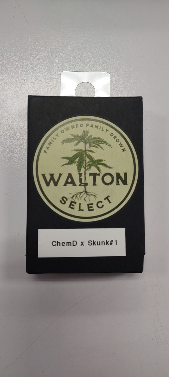 Walton Select Chem D x Skunk #1 (REG) 15pk