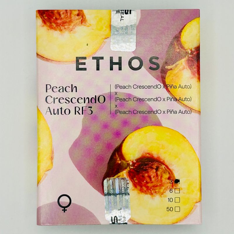 Ethos Peach Cres Auto RF3 (F,HY) 3 Pack