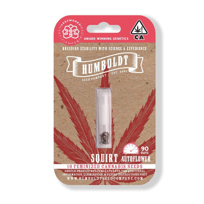HSC Squirt Autoflower (F) 10 Pack
