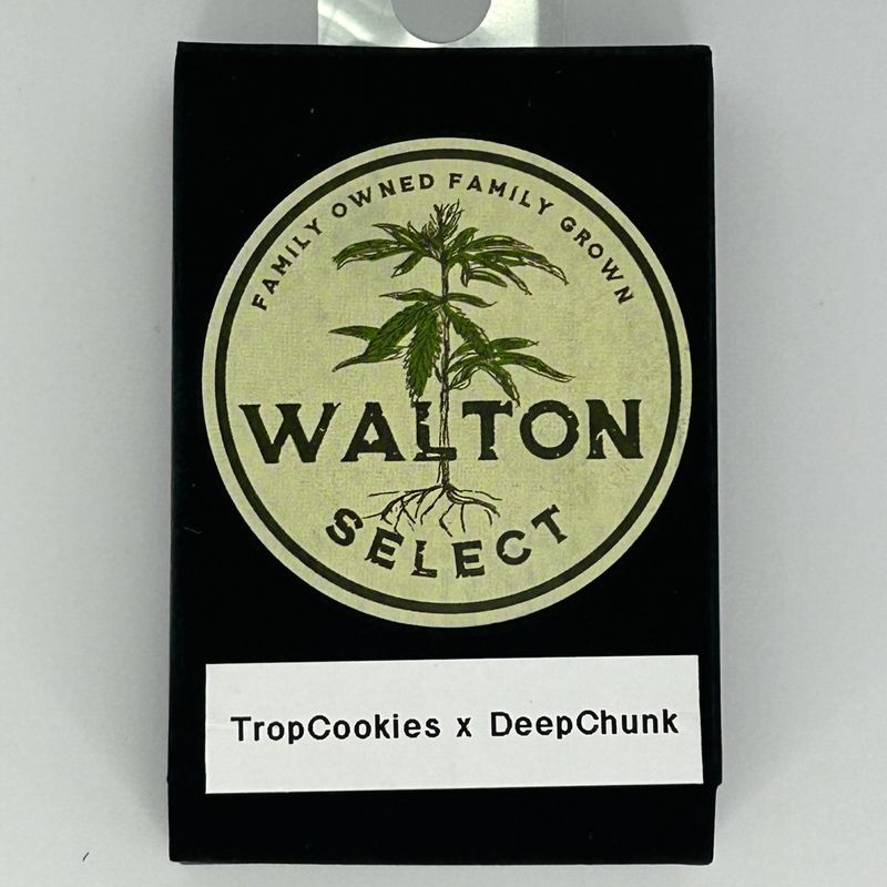 Walton Select Tropicana Cookies x Deep Chunk (REG,HY) 15pk