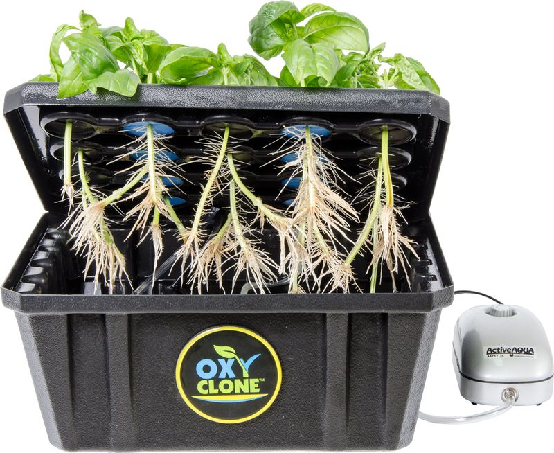 Active Aqua oxyCLONE 20 Site System
