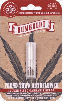 HSC Pound Town Autoflower (F) 5 Pack