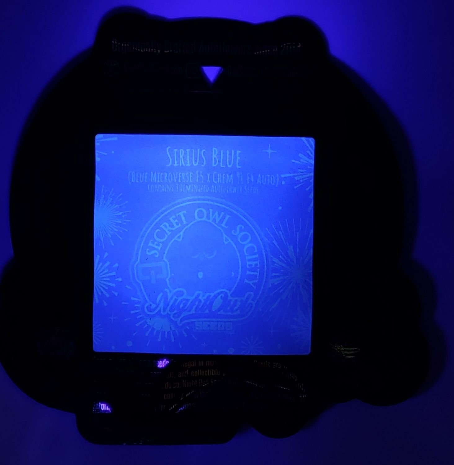 NightOwl Sirius Blue AUTO 3 Pack (F)