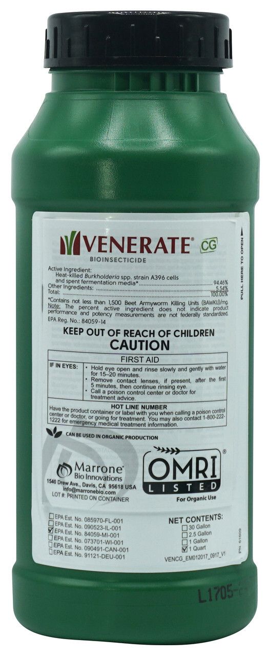 Venerate CG 32oz