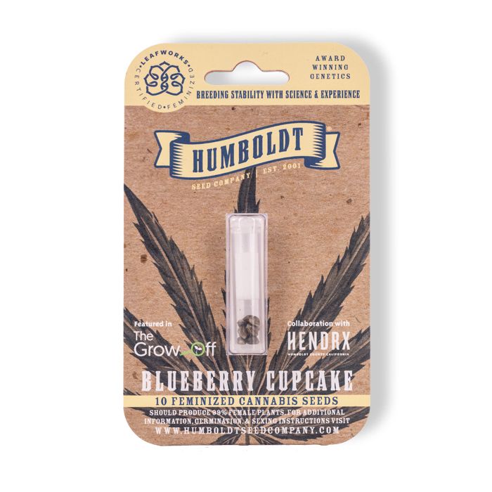 HSC Blueberry Cupcake (F) 5 Pack