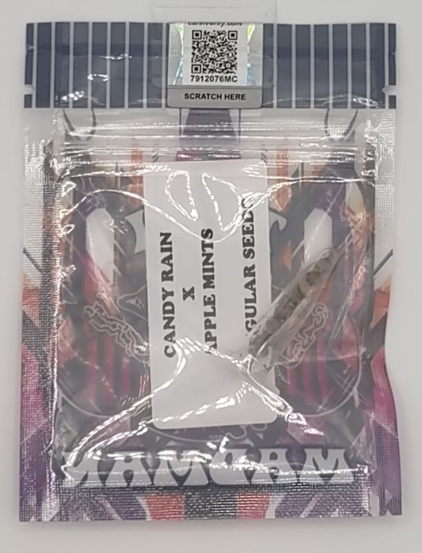 Tiki MadMan Candy Rain X Apple Mints (R,HY) 10 pack