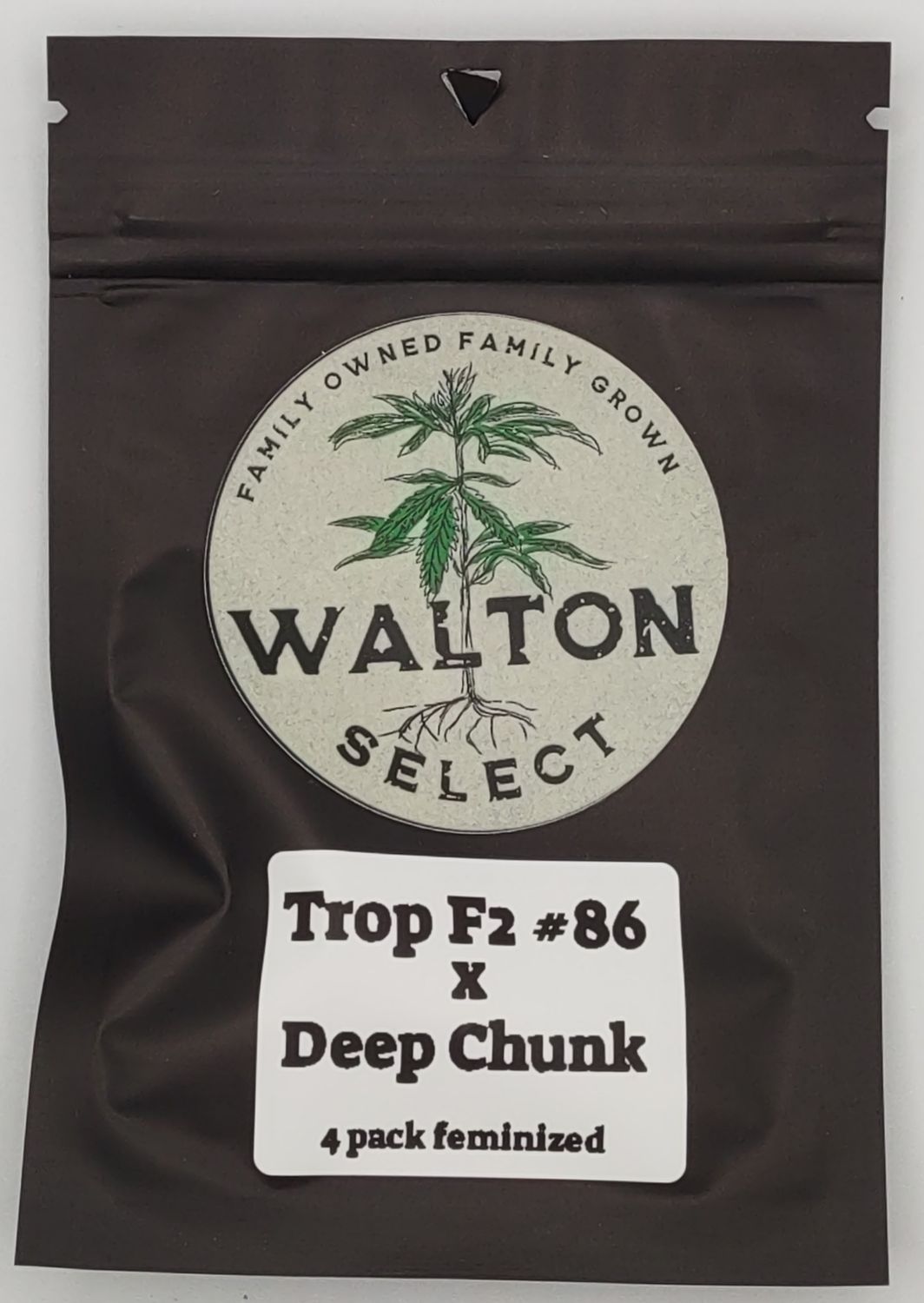 Walton Select Trop F2 #86 x Deep Chunk (F,HY) 4 pack