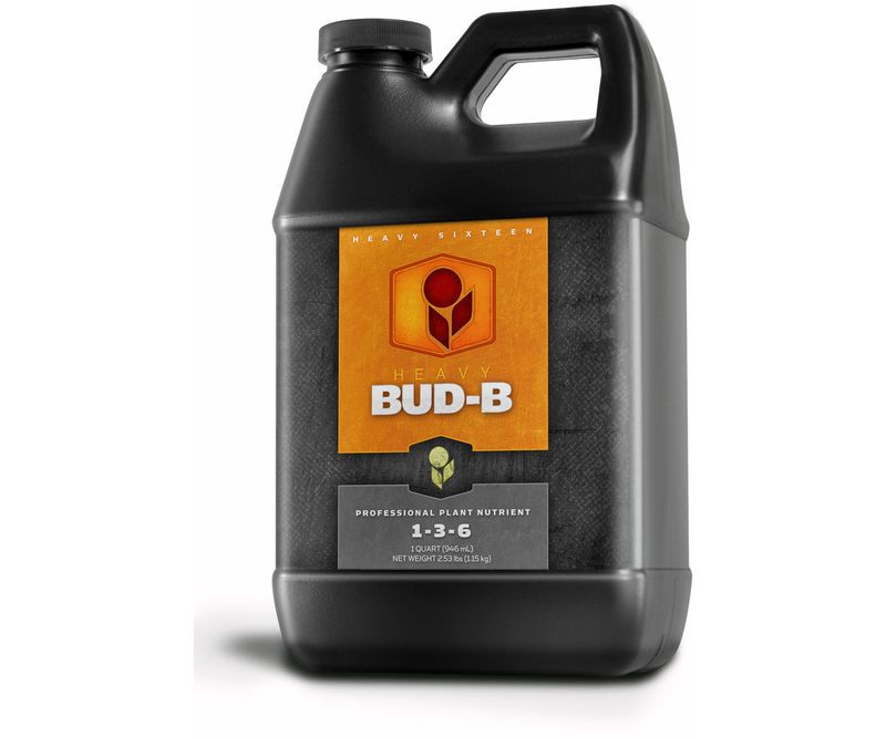 Heavy 16 Bud B 32oz