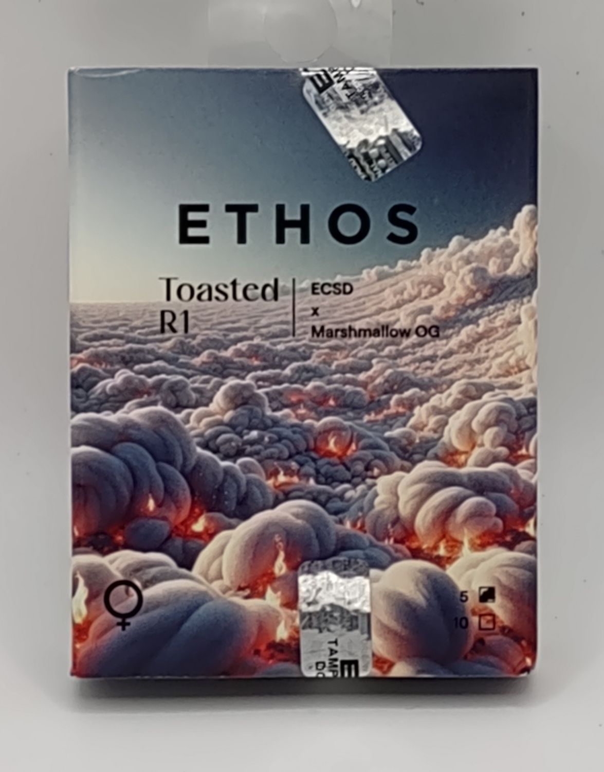 Ethos Toasted R1 (F,HY) 5 Pack