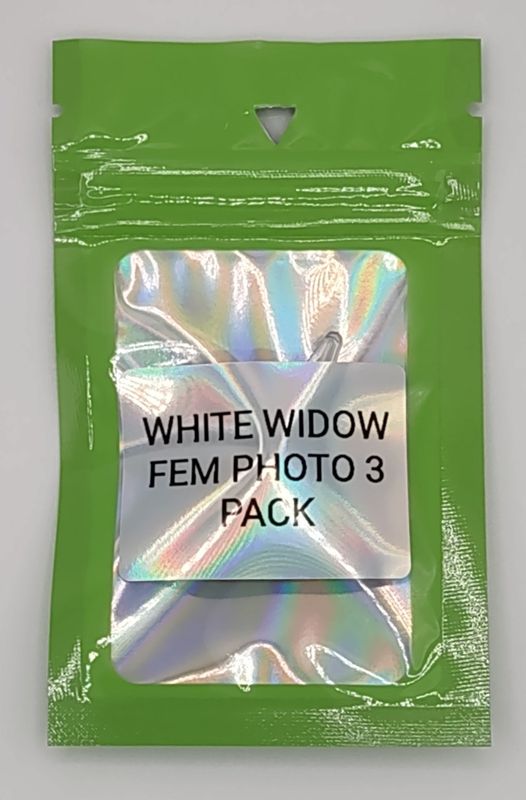 White Widow (FEM,ID) 3 Pack