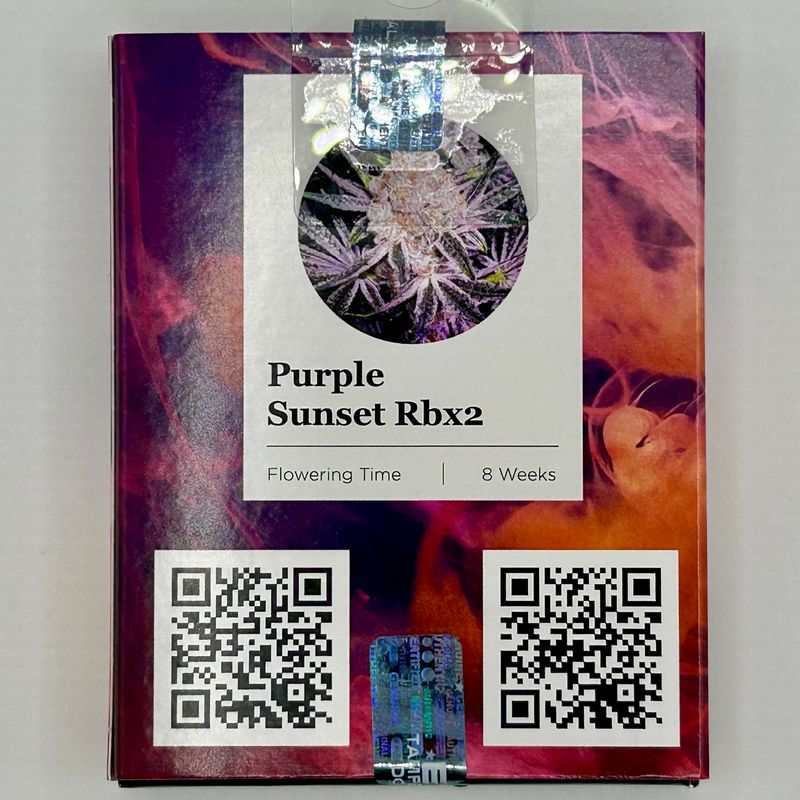 Ethos Purple Sunset RBx2 (F,ID) 5 Pack