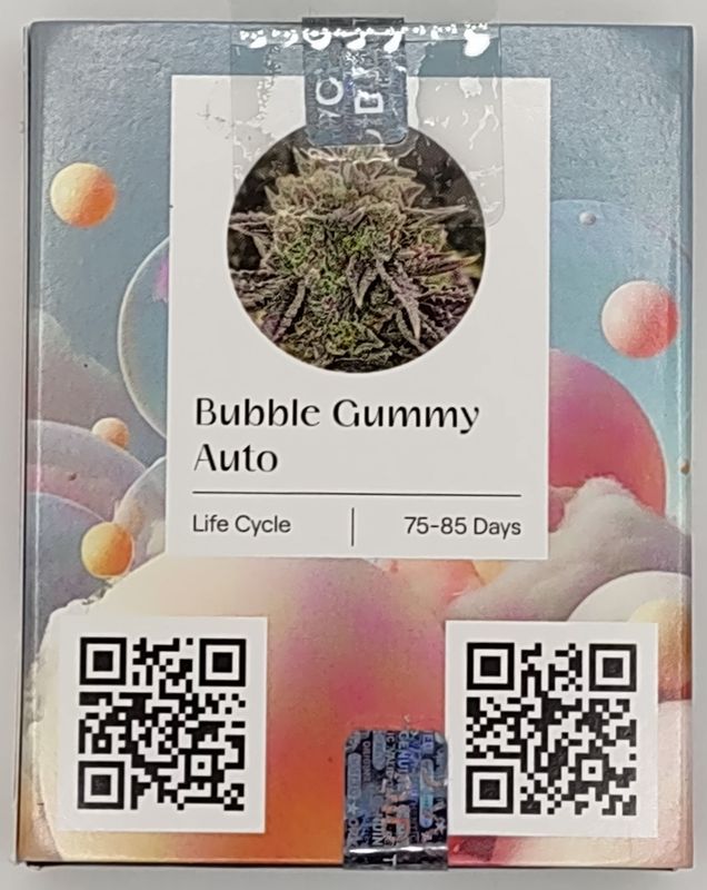 Ethos Bubble Gummy Auto (F,HY) 6 Pack