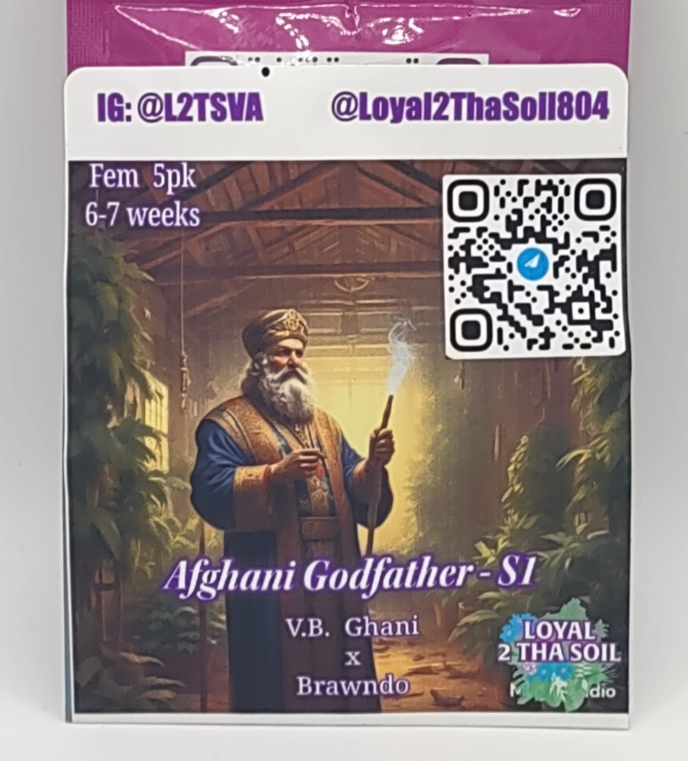 Loyal2ThaSoil Afghani Godfather S1 (F,SD) 5pk