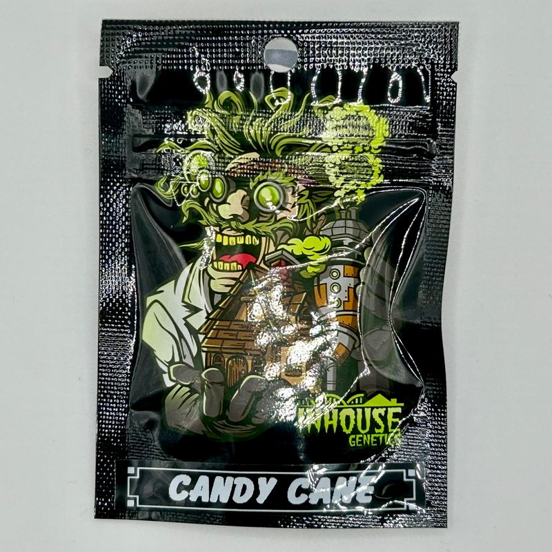 In House Genetics Candy Cane 5pk (FEM)