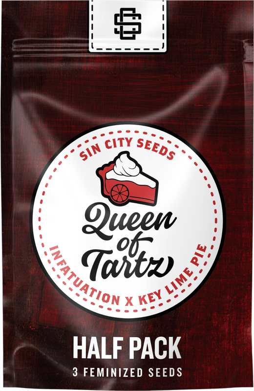 Sin City Seeds Queen of Tarts (F,ID) 3 Pack