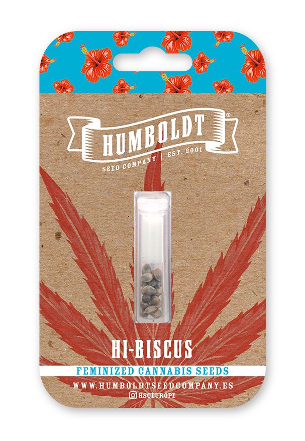 HSC Hi-Biscus (F) 10 Pack