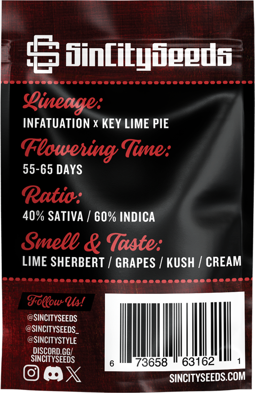 Sin City Seeds Queen of Tarts (F,ID) 3 Pack