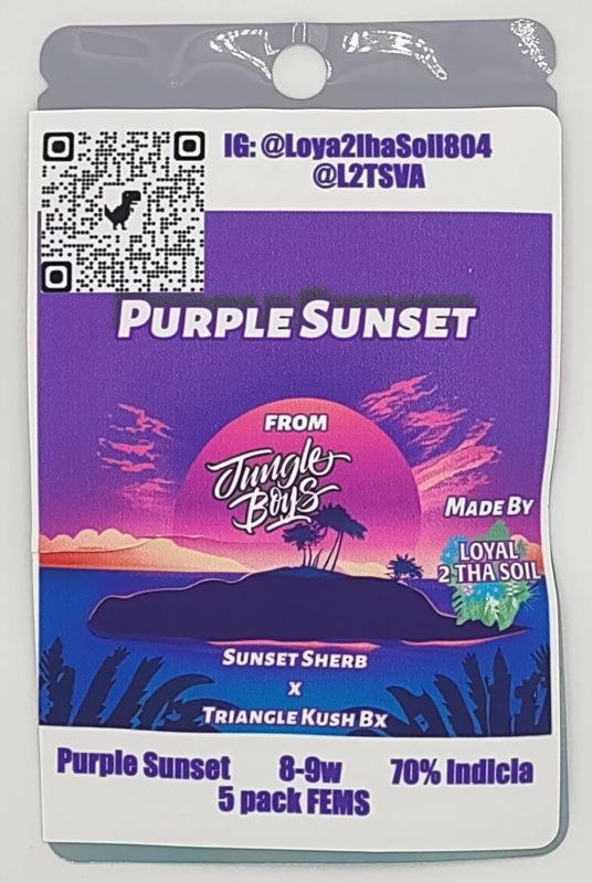 Loyal2ThaSoil Purple Sunset (F,ID) 5pk