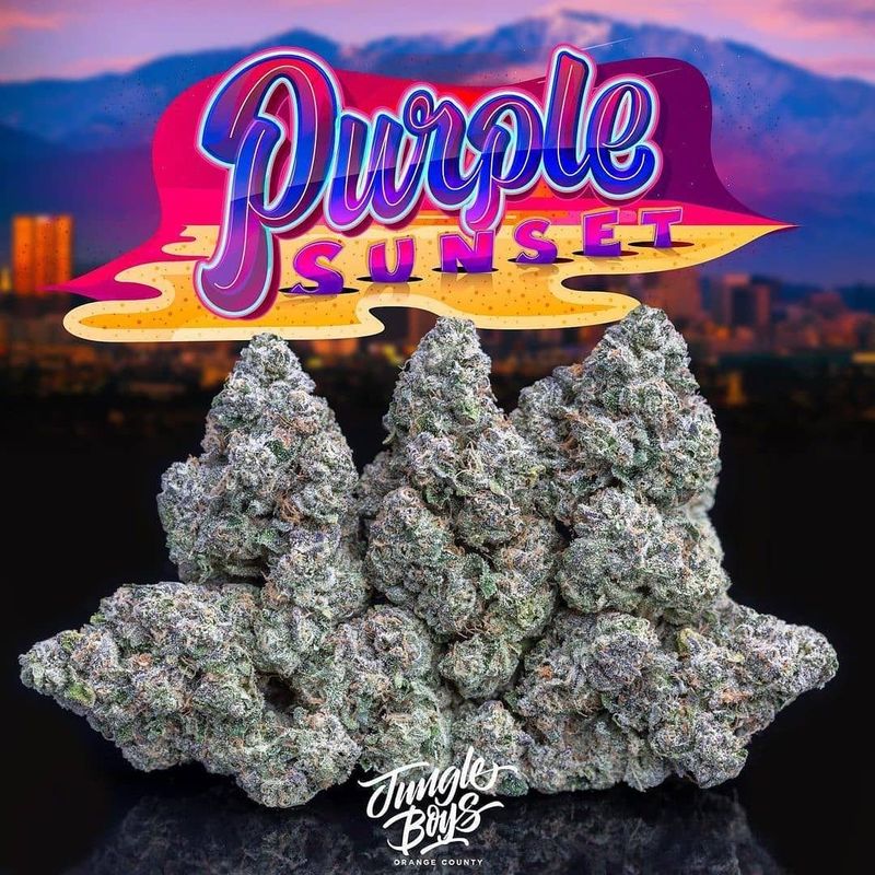 Loyal2ThaSoil Purple Sunset (F,ID) 5pk